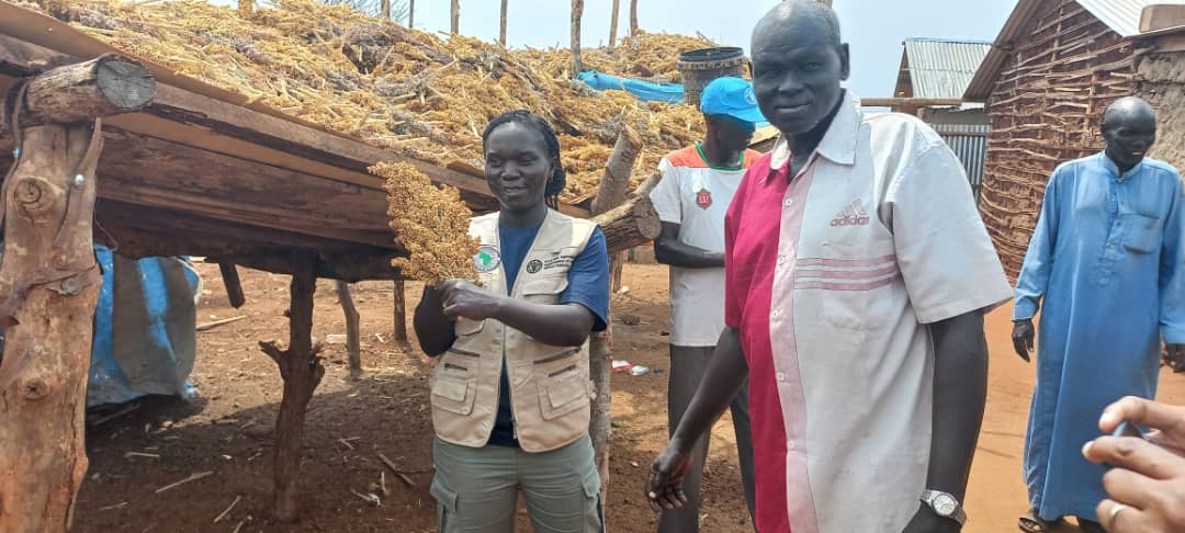 Farmers working in a cooperative field